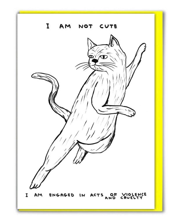I Am Not Cute Birthday Card by David Shrigley