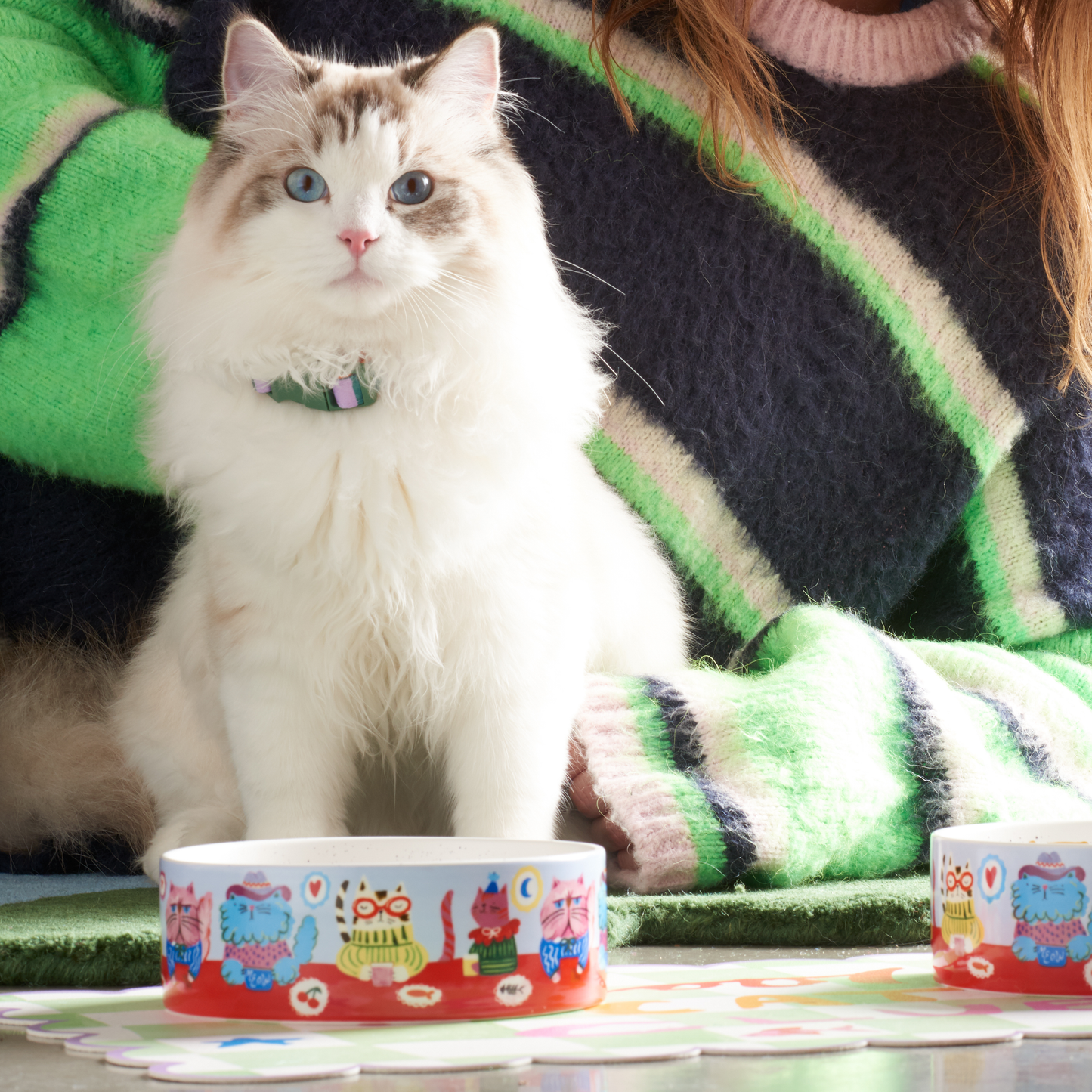 Cool Cat Club Bowl