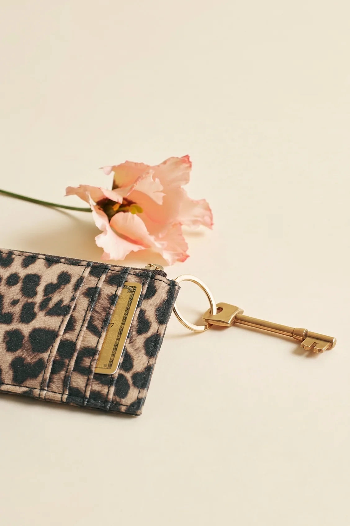Estella Bartlett Leopard Zip Around Bow Purse