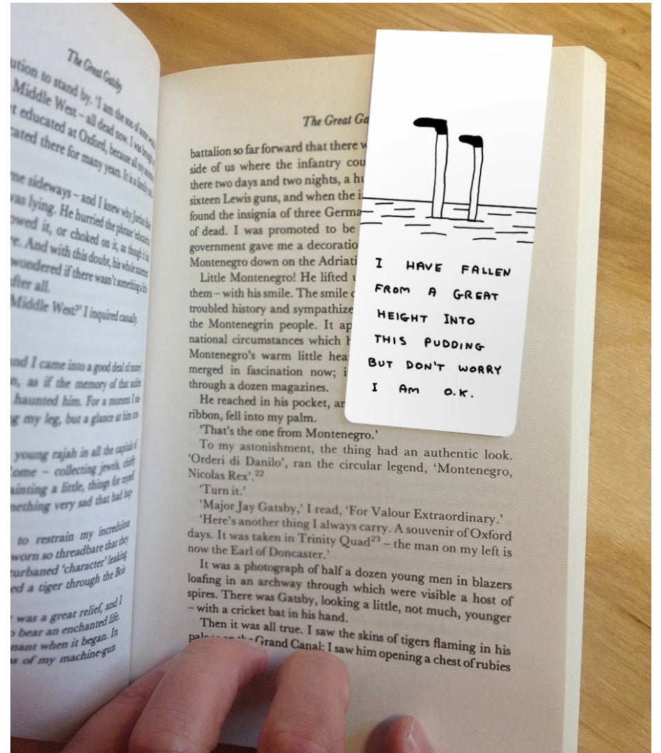David Shrigley Magnetic Funny Bookmarks