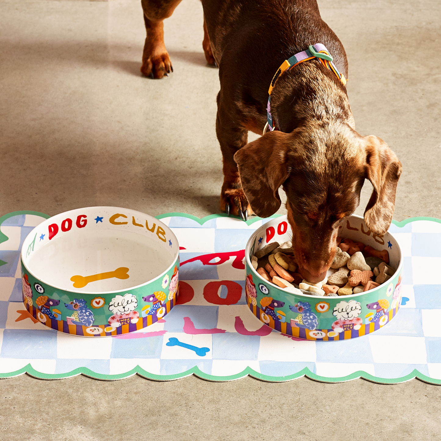 Cool Dog Club Bowl