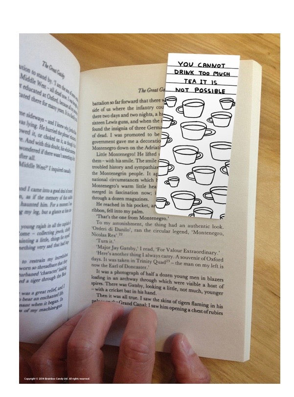 David Shrigley Magnetic Funny Bookmarks