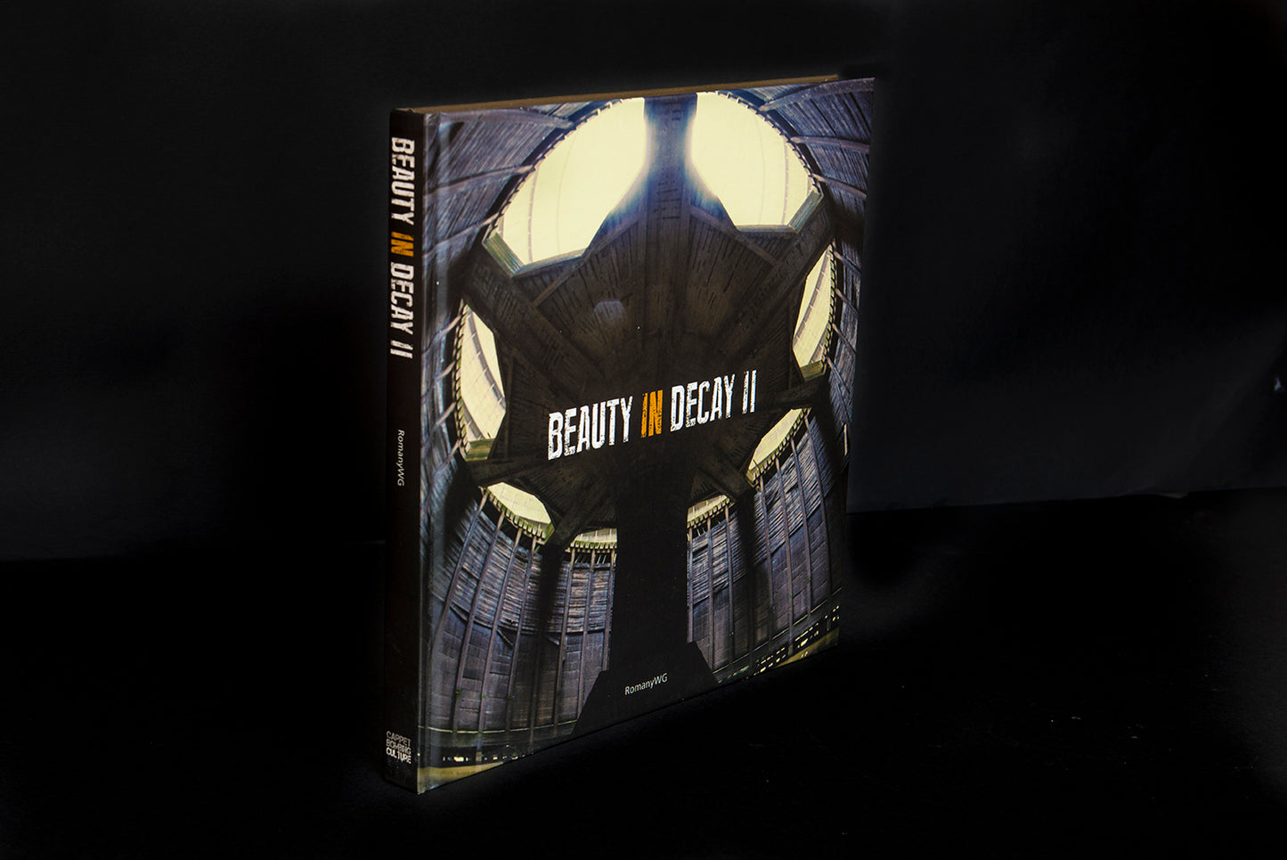 Beauty In Decay II