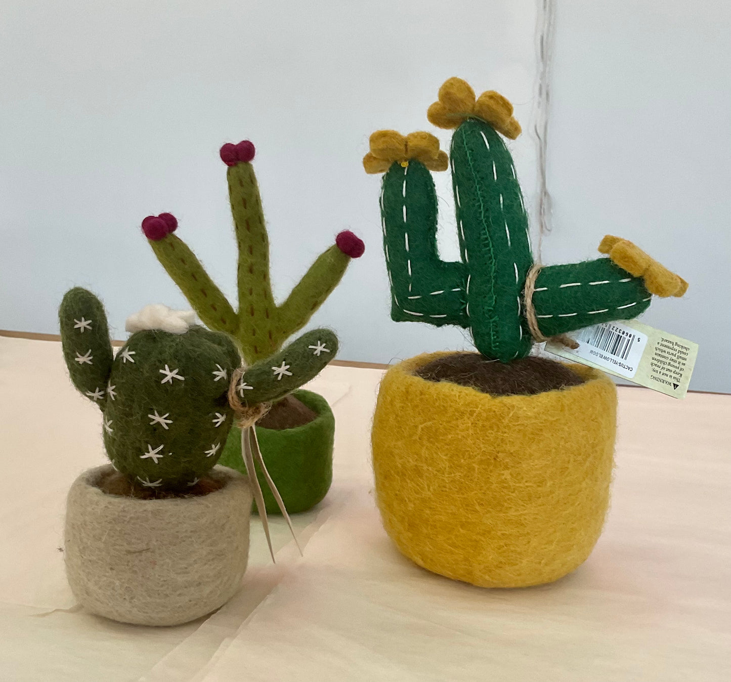 Felted Cactus