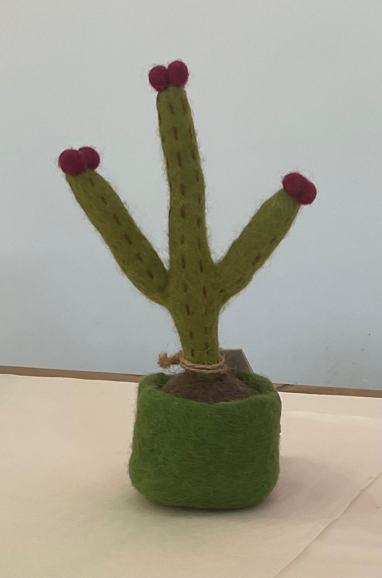 Felted Cactus