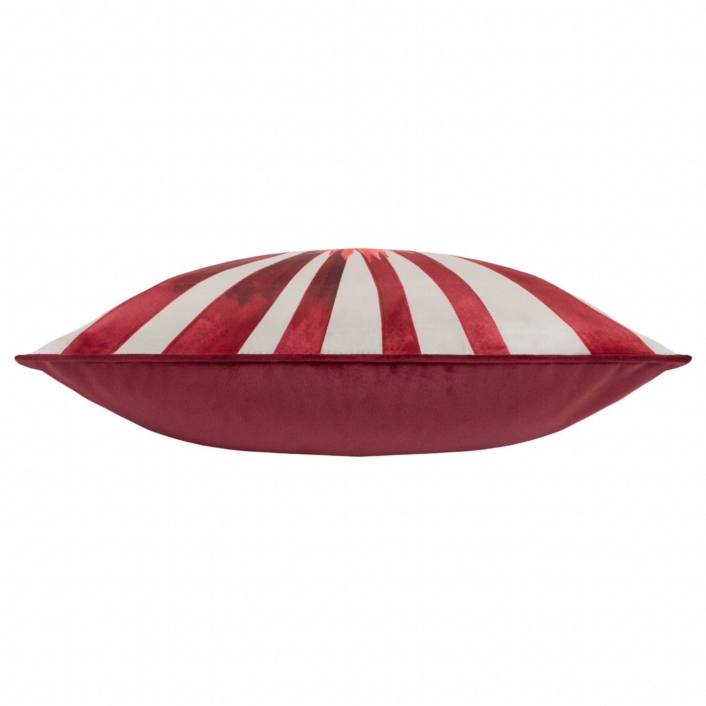 Amor Eterno Velvet Piped Cushion Red: Red / Feather Filled / 45 x 45cm