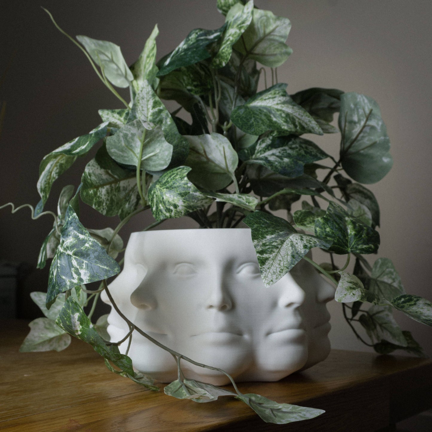 Multi-Face Planter, Face Plant Pot -3D Printed Plastic-White