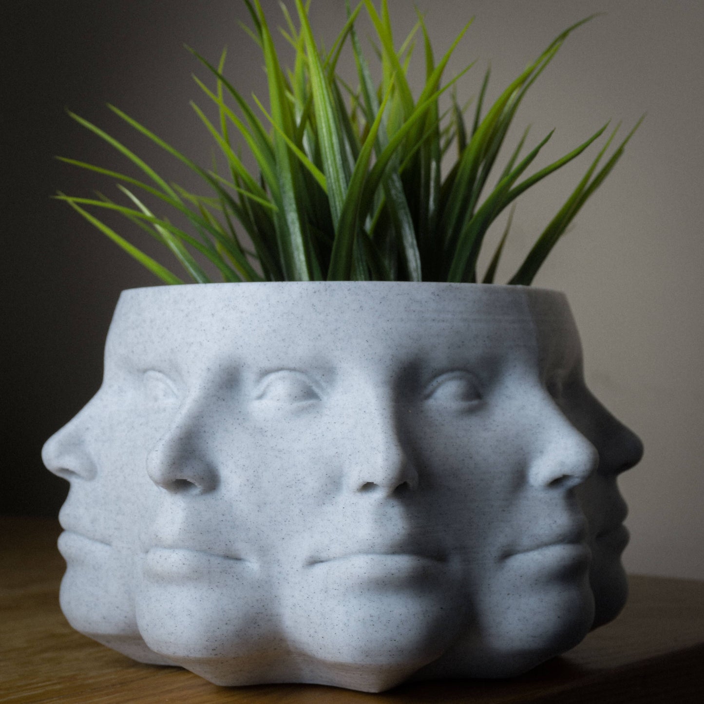 Multi-Face Planter, Face Plant Pot - 3D Printed PLA, Marble