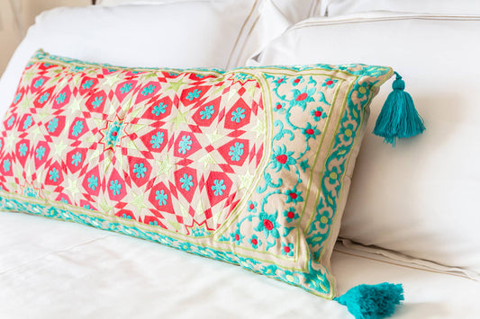 Large Embroidered Bright Cushion