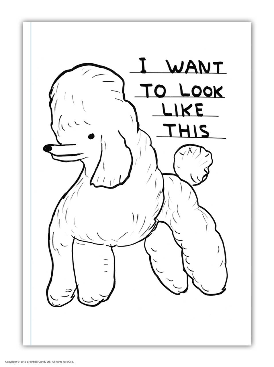 David Shrigley A6 Notebook  Want To Look Like This
